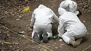 San fernando tamaulipas