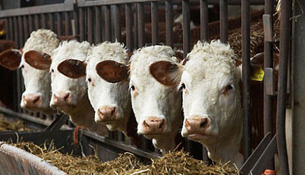 ¿Que sucedió después?