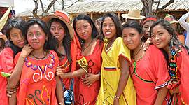 Timeline: Reconocimiento de la diversidad INDIGENA