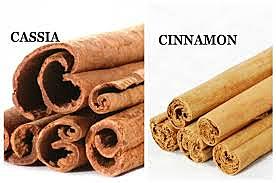 Cinnamon and Cassia