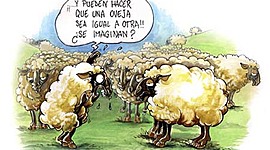 Timeline: the history of cloning