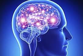 PERÍODO PRE-CLÁSICO