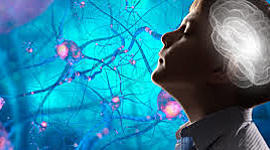 Timeline: LA NEUROPSICOLOGÍA EN EL TIEMPO