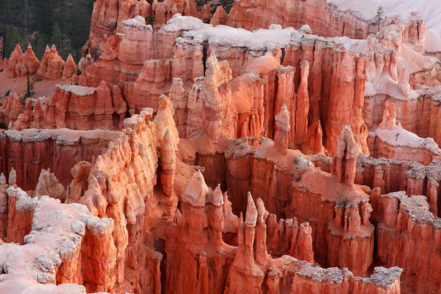 Bryce Canyon is established