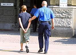 creacion de las Directrices para la Prevención de la Delincuencia Juvenil