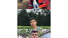 Timeline: historia de la clonacion