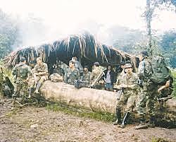 Comunidad participo en la guerra