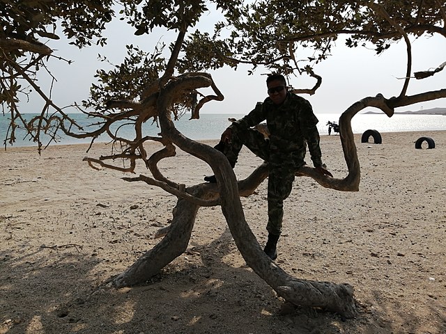 PROCESO DE RETROSPECCION