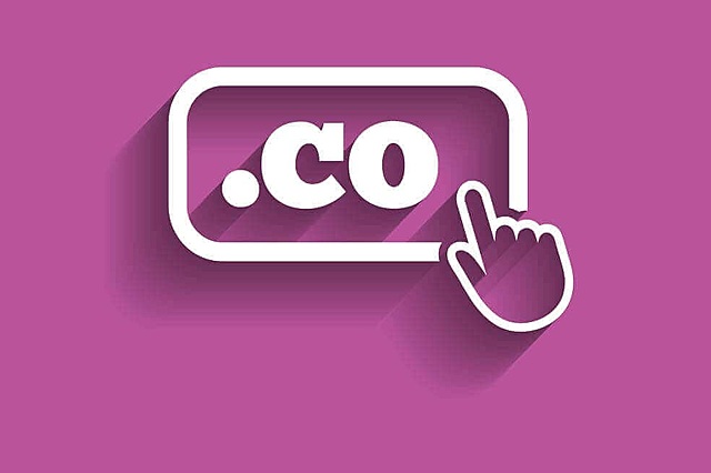 Se registra el primer dominio ".co"