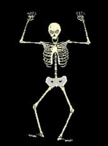 Indian Remains found