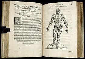 RENACIMIENTO SIGLO XVI