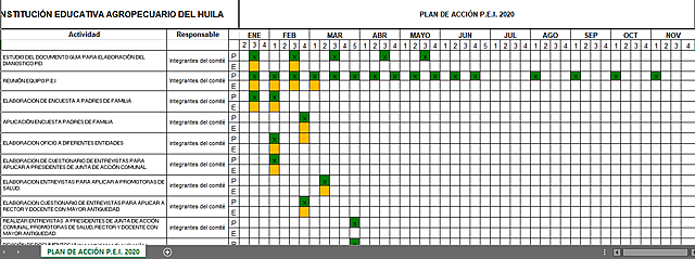 PLAN DE ACCIÓN P.E.I. 2020