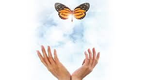 Especialista en Tanatología