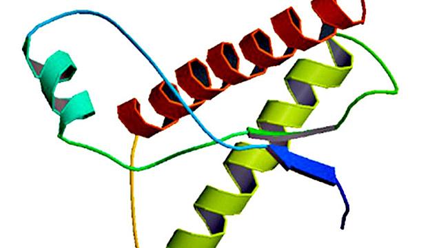 CARACTERIZACIÓN DE PRIONES