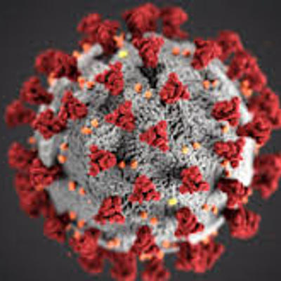 Timeline: קורונה