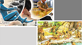 Timeline: HISTORIA DE LA ERGONÓMICA