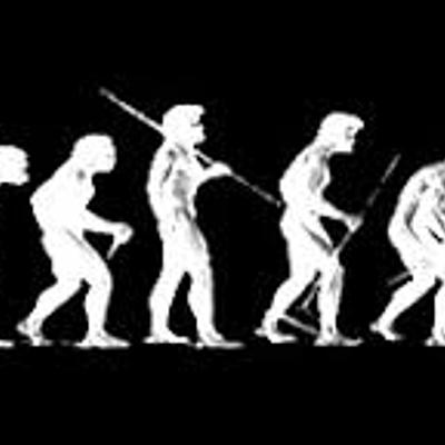 Timeline: LINEA DE TIEMPO ERGONOMIA