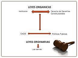 LEYES OGÀNICAS