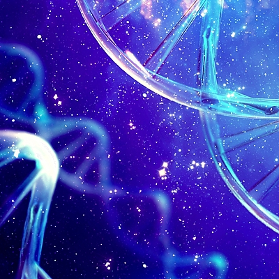 Timeline: Estudio y Conocimiento del ADN