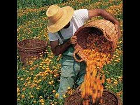 Reconocimiento de títulos de sus territorios ancestrales