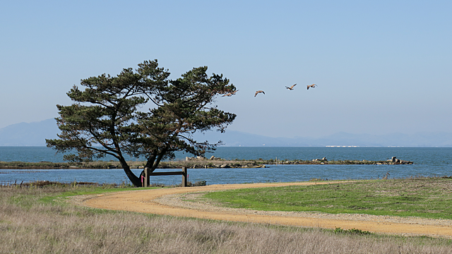 The newly restored Dotson Family Marsh opens to the public.