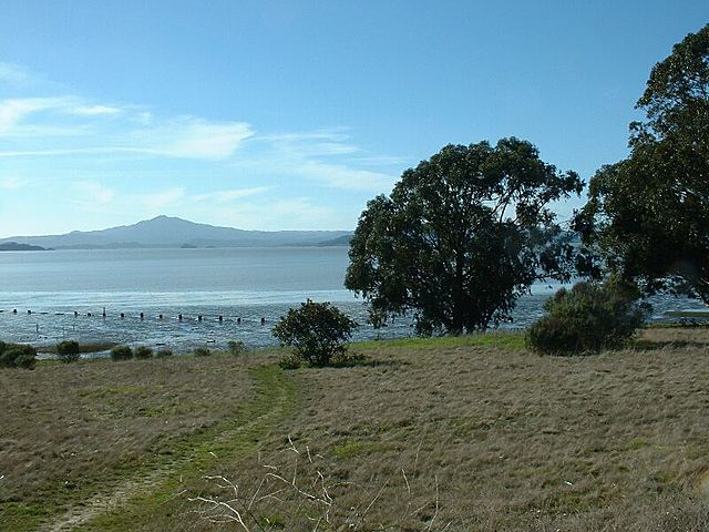 Rev. Richard Daniel Dotson (Whitney's father) and other activists succeed in preserving part of the shoreline open space as a park.
