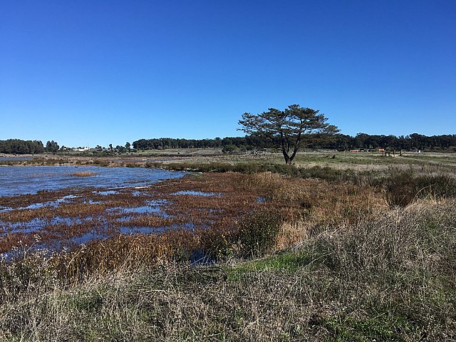 East Bay Regional Park District adopts a plan to restore the marsh.