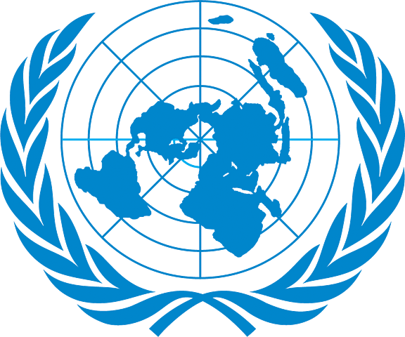 ORGANIZACIÓN DE LAS NACIONES UNIDAS