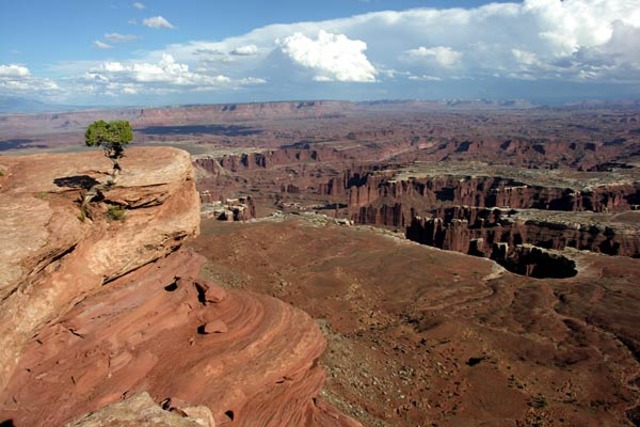 Canyonlands National Park is opened.
