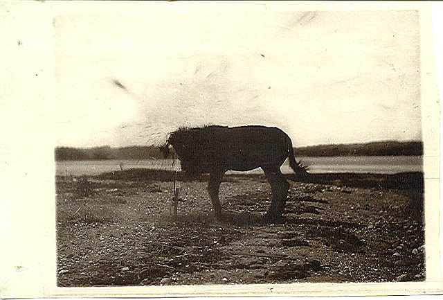 Charles Harper Bennett