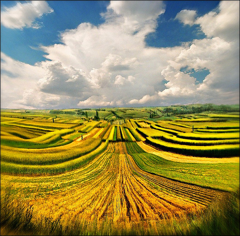 Discovery of Agriculture