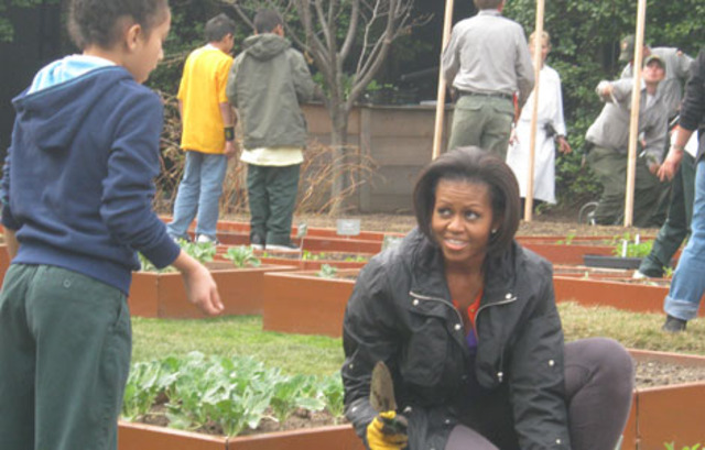 5.2 Encouraging Gender Schemas