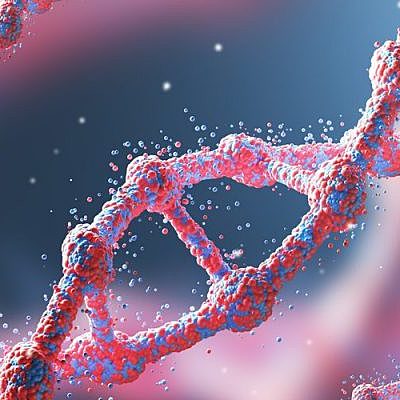 Timeline: Cientificos que influyeron en el Desarrollo de la Bioquimica