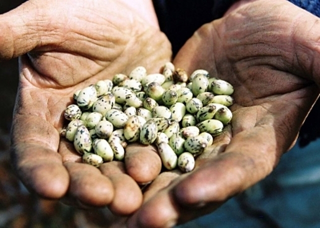 Crecimiento e industrialización