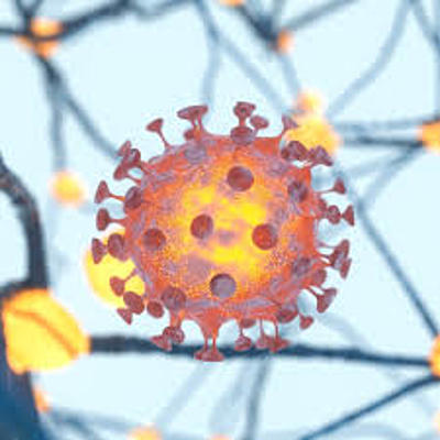 Timeline: Coronavirus dentro del cuerpo