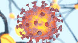 Timeline: Coronavirus dentro del cuerpo