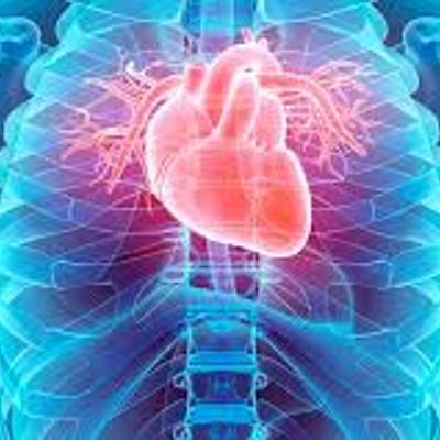 Timeline: Evolución de la cirugía cardíaca