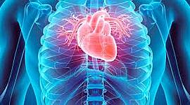 Timeline: Evolución de la cirugía cardíaca