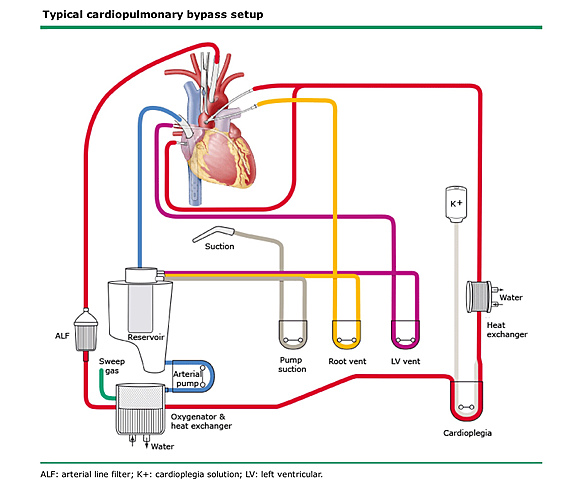 Cesar Julio Lagallois propuso los primeros conceptos de circulación extracorpórea