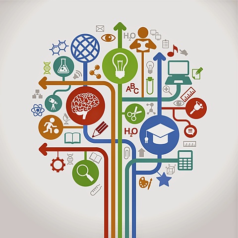 Está bien organizado y estructurado