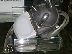 Akutsu fue capaz de conseguir que un perro viviera durante unas horas con un corazón artificial