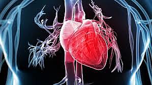 En el Hospital Clínico de la Universidad Católica de Chile se realizó la primera cirugía cardiovascular con el tratamiento de cardiopatías congénitas