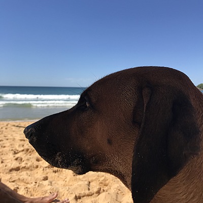 Timeline: Rock n’ Roll Through the Decades