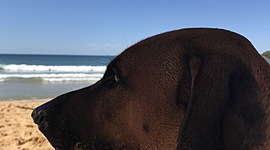 Timeline: Rock n’ Roll Through the Decades