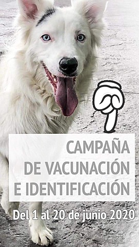 CAMPAÑA DE VACUNACIÓN