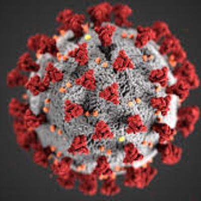 Timeline: el coronavirus en el cuerpo