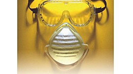 Timeline: SALUD OCUPACIONAL