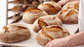 Timeline: historia del pan