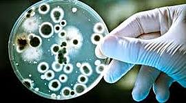 Timeline: Línea de tiempo del uso de microorganismos en la industria XX hasta la fecha