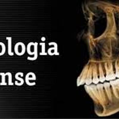 Timeline: Linea de tiempo Odontología Forense